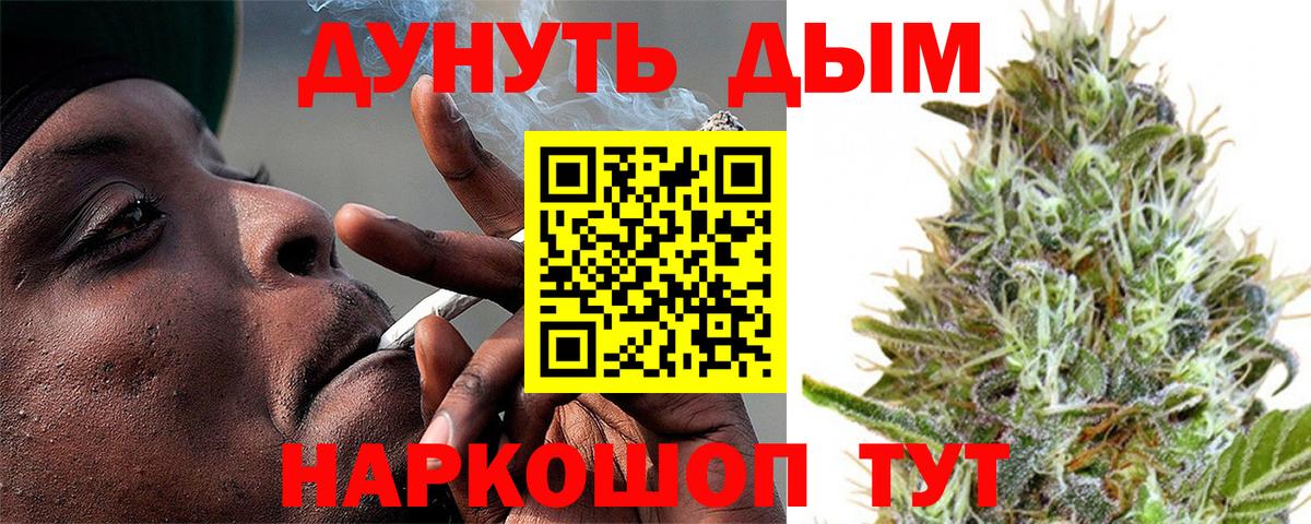 МАРИХУАНА план  МАРИХУАНА план  Елизово  Вход с VPN  Шишки марихуана сатива 